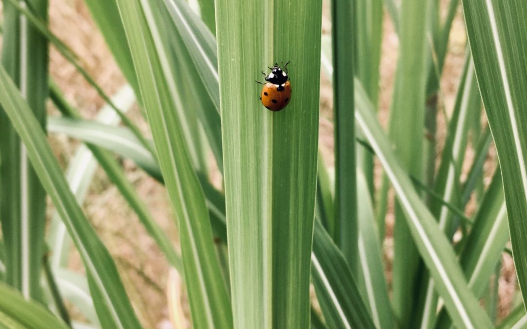 Der Winterschlaf ist vorbei