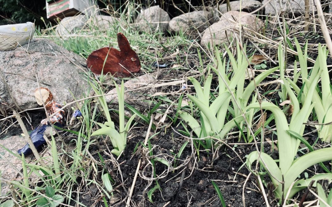 Frühlingswind – alles neu macht der April