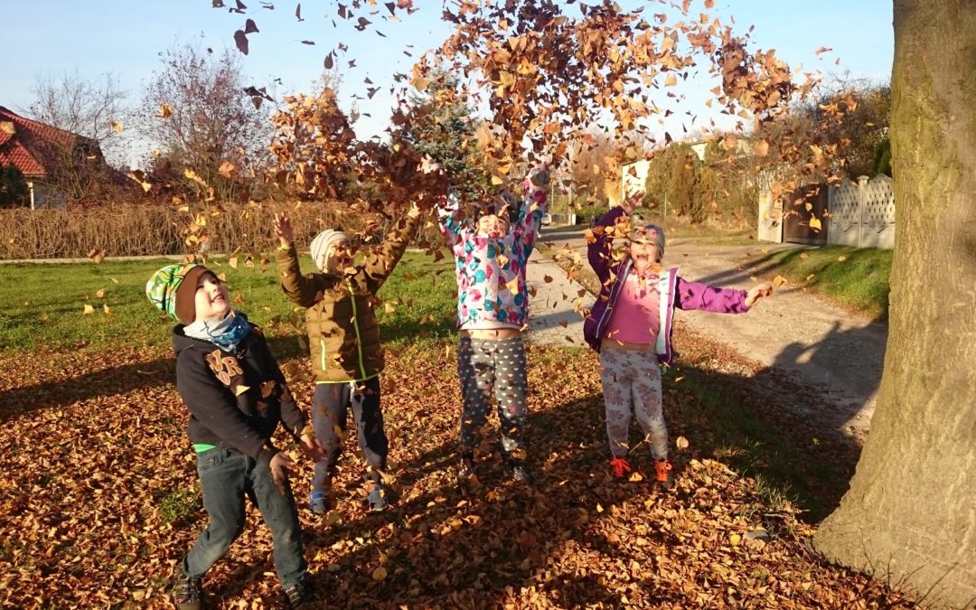 Ferienprogramm – “Herbstliches Allerlei” – 27.10.-30.10.25