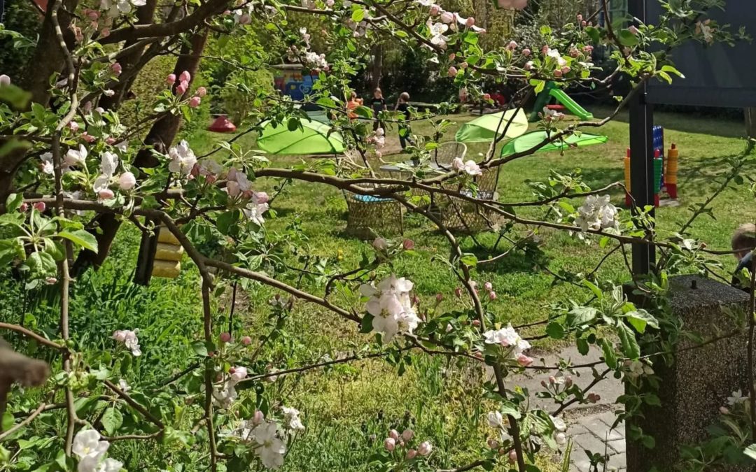 ENDLICH SONNE – FAMILIENTAG – FERIEN