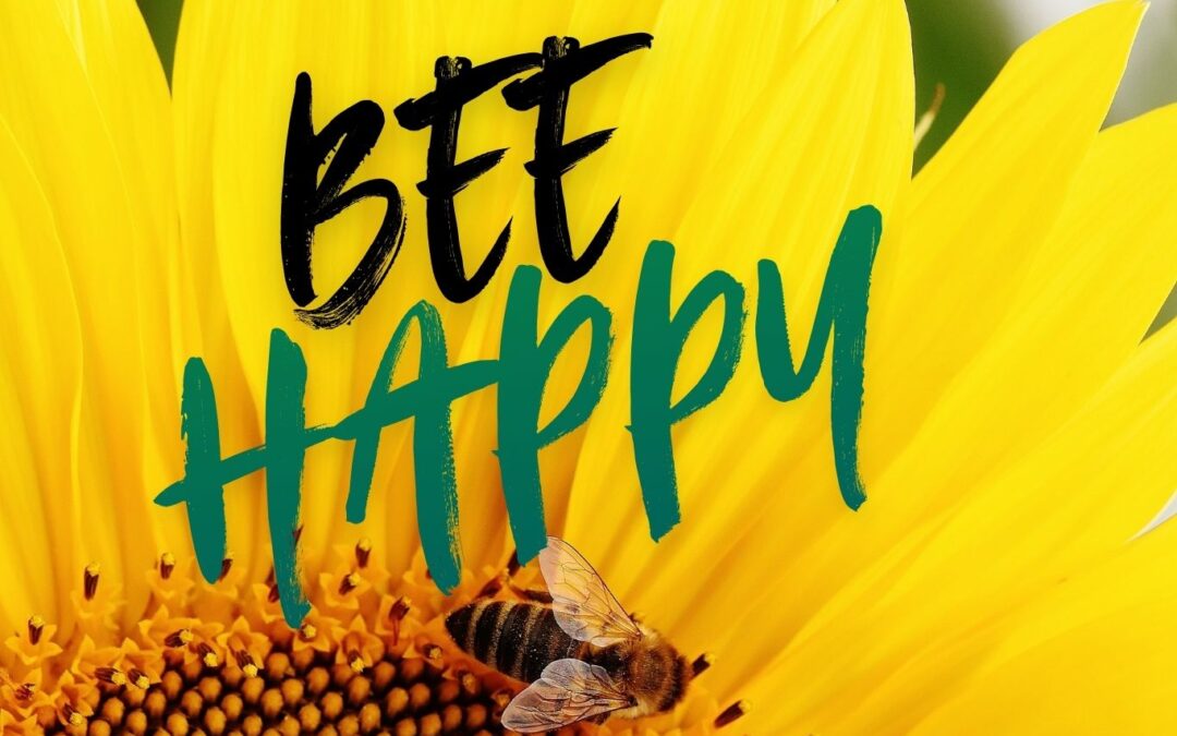 Workshop – Bee Happy